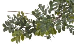 girlanda buxus 180 cm - zelená