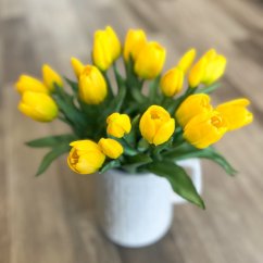 svazek tulipánů (5 ks) - žlutá