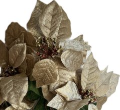 trs vánoční hvězda - zlatá