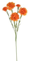trsový karafiát 61 cm - oranžová