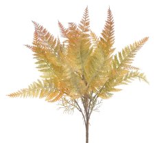 kapradina trs 43 cm - zelená/oranžová