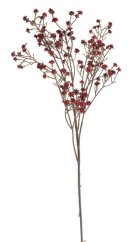 gypsophila 67 cm -  tm. červená
