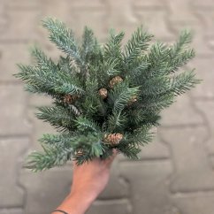jehličí trs s šiškami x5 - zelená zaprášená