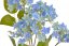 hortenzie větvička 63 cm - modrá