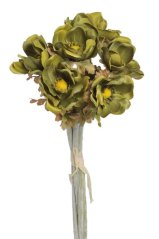 anemon (6ks) - khaki