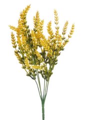 vřesovec trs - žlutá