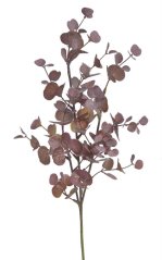 eukalyptus 48cm - vínová