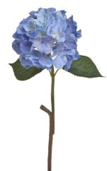 hortenzie 59 cm - modrá