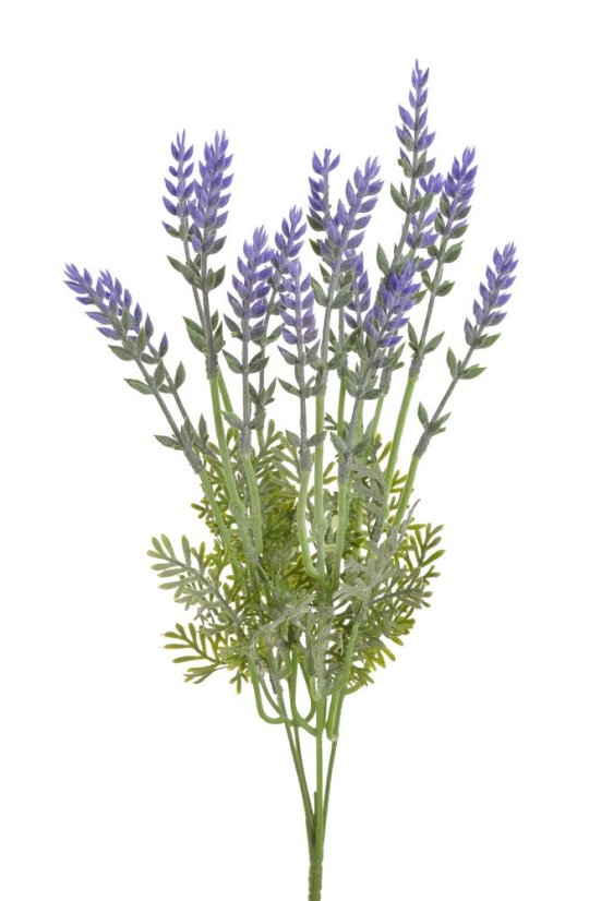 levandule 41 cm - fialová