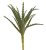 mini aloe vera - zelená