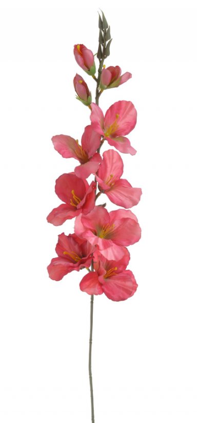 gladiola 77 cm - růžová