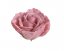 balená mýdlových růží (25 ks) pudrová růžová