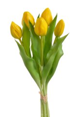 svazek tulipánů (5 ks) - žlutá