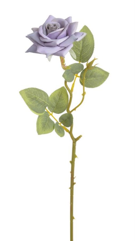 růže 41 cm - fialová
