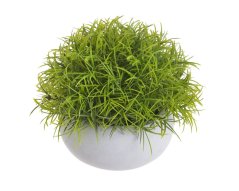 tráva v květináči