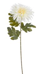 chryzantéma 72 cm - bílá krém