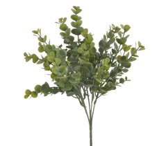 eukalyptus trs x5 - zelená