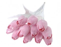 tulipán s bílým listem (6 ks) - růžová