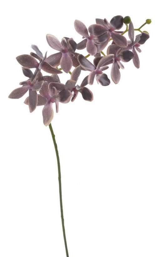 orchidea 60 cm - fialová