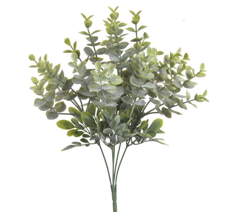 eukalyptus trs x5 35 cm - zelená