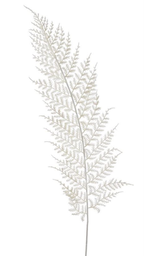 kapradina pastel - krémová