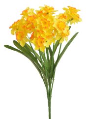 narcis trs x7 40 cm - žlutá/oranž