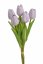 tulipán pěnový (5 ks) - fialová OLD