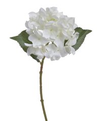 hortenzie 37 cm - bílá