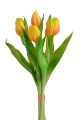 svazek tulipánů (5 ks) - žlutá s oranžovou