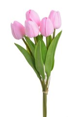 tulipán pěnový (5 ks) - růžová