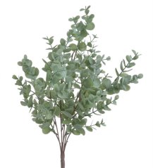 eukalyptus trs x7 - zelená