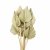 palm spear mini natural (10 ks)