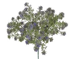 trs rozchodník flokovaný - zelená/fialová