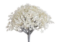 rozchodník 61 cm - bílá
