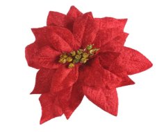 vánoční hvězda - květ na klipu - červená + zlatý střed
