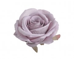 růže velvet - hlavičky (6 ks) - lila