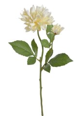 pivoňka 59 cm - krémová