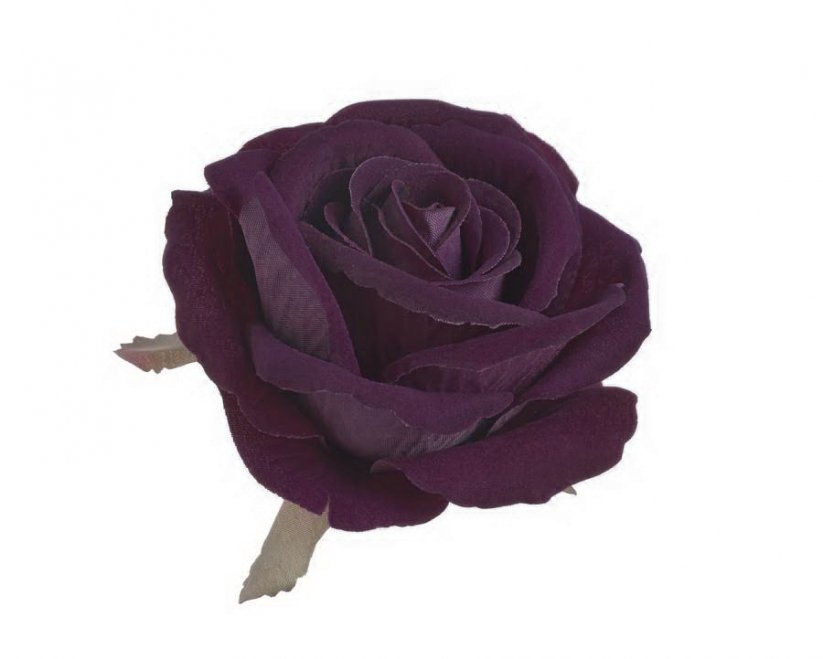 růže velvet - hlavičky (6 ks) - švestková tmavá