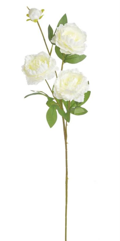 pivoňka 75 cm - bílá/krém