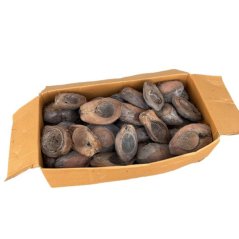 coco nut - half cut (kokosový ořech)