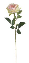 růže 62 cm - krémová/růžová