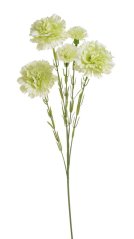 trsový karafiát 61 cm - zelená