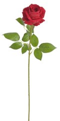 růže velvet 50 cm - červená