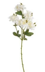 větvička s 15 květy a poupaty - bílá