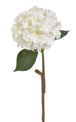 hortenzie 59 cm - bílá