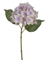 hortenzie 37 cm - bílá/fialová