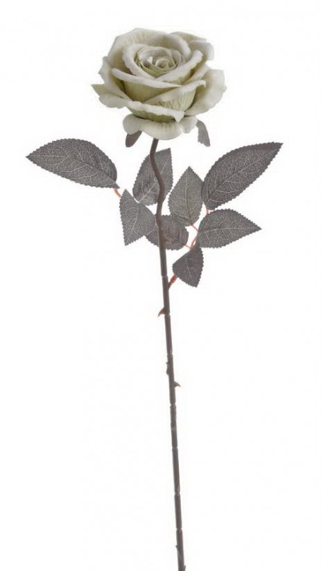 růže velvet - šedozelená