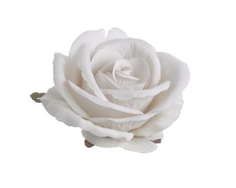 růže velvet - hlavičky (6 ks) - bílá nude