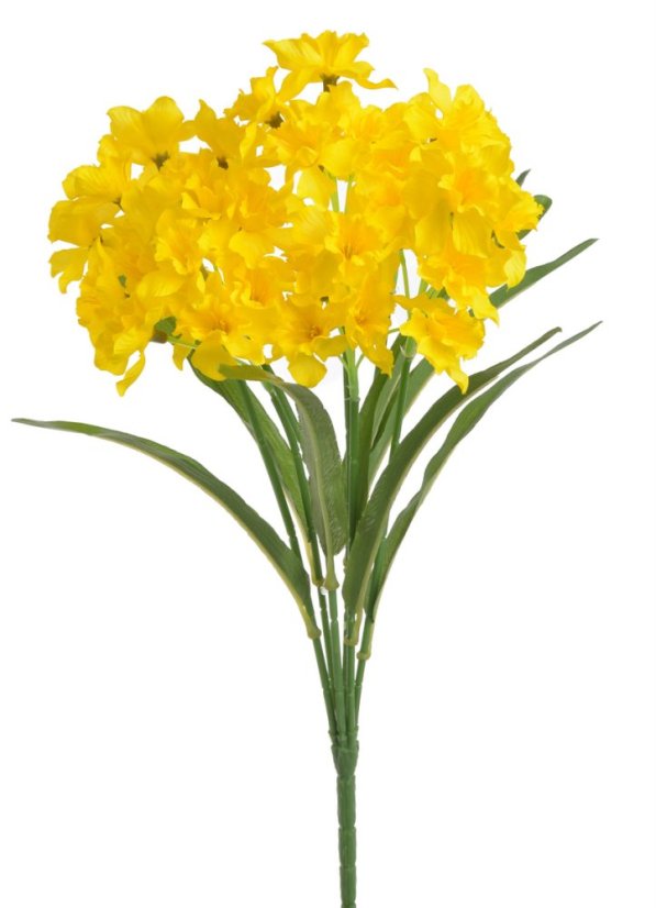narcis trs x7 40 cm - žlutá