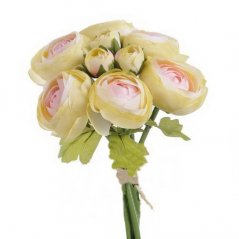 ranunculus svazek - krém s růžovým středem